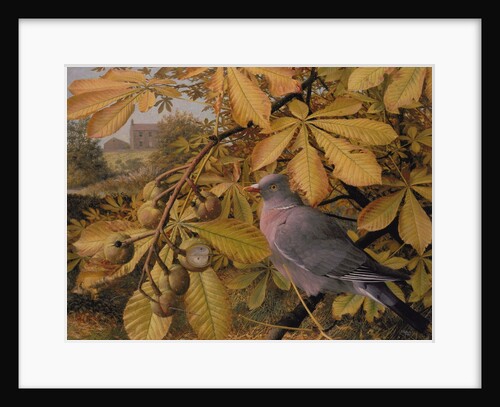 October: Pigeon in Horse Chestnut, 1981 by Raymond Booth