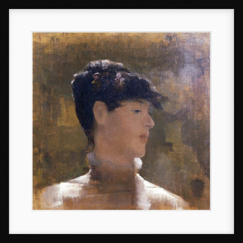 Portrait of a Woman, 1883 by John Lavery