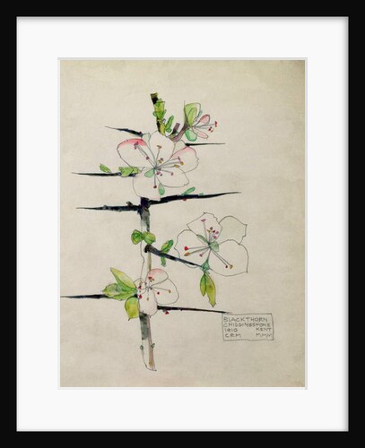 Blackthorn, Chiddingstone, Kent, 1910 by Charles Rennie & MacDonald Mackintosh Margaret (1864-1933) Mackintosh