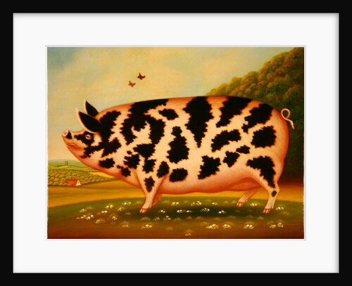 Old Spot Pig, 1998 by Frances Broomfield