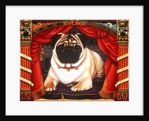 Nabokov's Pug, 2006 by Frances Broomfield