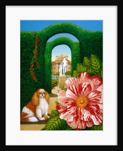 Rosa Mundi, 1995 by Frances Broomfield