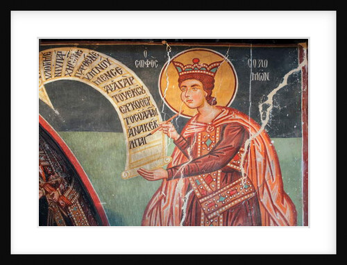 Solomon by Anonymous