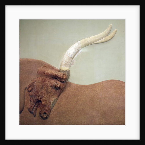 Fragment of plaster relief fresco showing a hunted bull by Minoan Minoan
