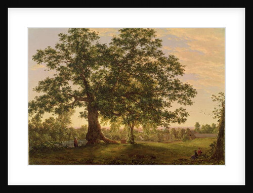 The Charter Oak at Hartford, c.1846 by Frederic Edwin Church