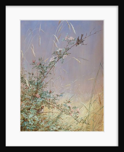Wild Roses Among Rye, 1874 by Fidelia Bridges