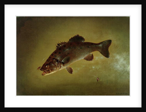 Black Bass, 1872 by Gurdon Trumbull