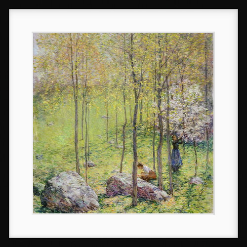 Dogwood Blossoms, 1906 by Willard Leroy Metcalf