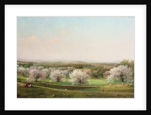 Apple Orchard, 1878 by Nelson Augustus Moore