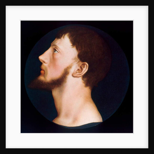 Portrait of Thomas Wyatt the Younger, c.1541 by Hans Holbein the Younger