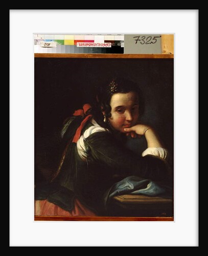 Portrait of an italian actress, 18th century by Pietro Antonio Rotari