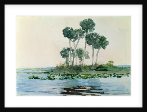 St. John's River, Florida, 1890 by Winslow Homer