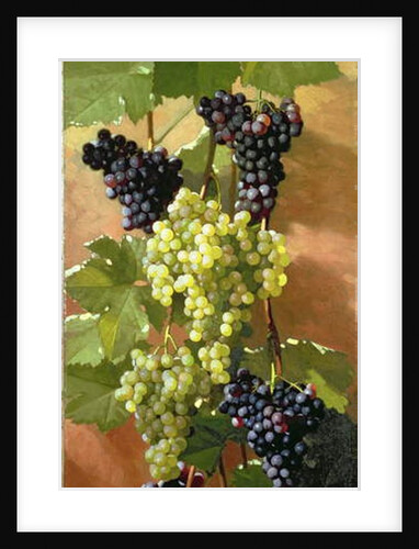 Grapes, 1897 by Edward Chalmers Leavitt