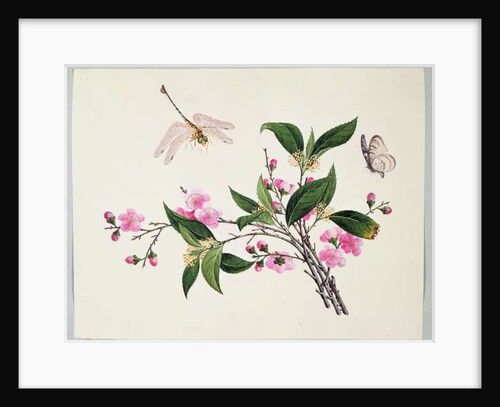 Cherry Blossom Dragonfly and Butterfly by School Chinese