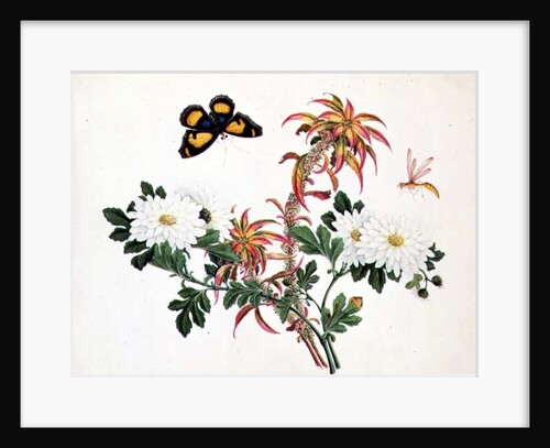 Two Stems of Amaranthus and Chrysanthemum with a Wasp and a Butterfly by School Chinese