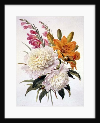 Sprays of Gladioli, Peonies and Lilium Bulbiferum by Henriette Gertruide Knip