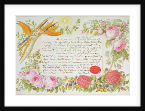 A surround of mixed flowers with an inscribed message by Joseph Banks, 1814 by Francis Bauer