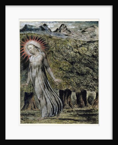 A Prophet in the Wilderness by William Blake