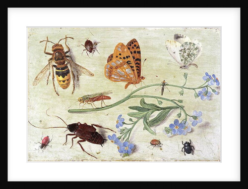 Insects by Jan van the Elder Kessel