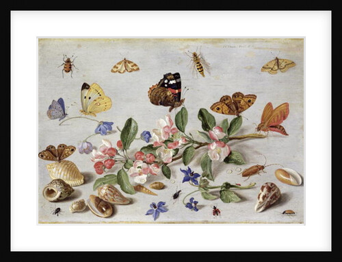 Insects by Jan van the Elder Kessel
