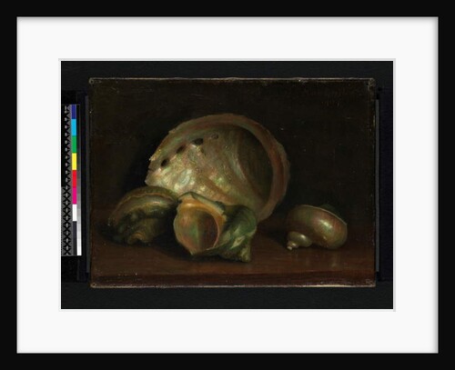 Seashells, 1907 by Mark Gertler