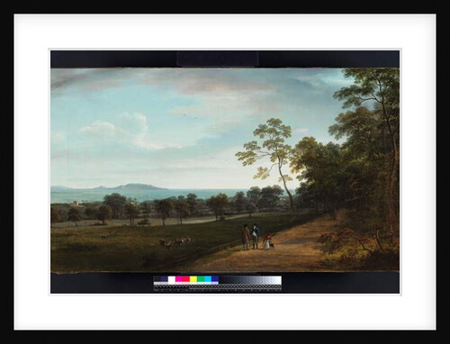 View in Mount Merrion Park, 1806 by William Ashford