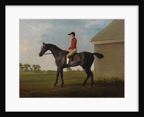 Gimcrack, with John Pratt up, on Newmarket Heath, 1795 by George Stubbs