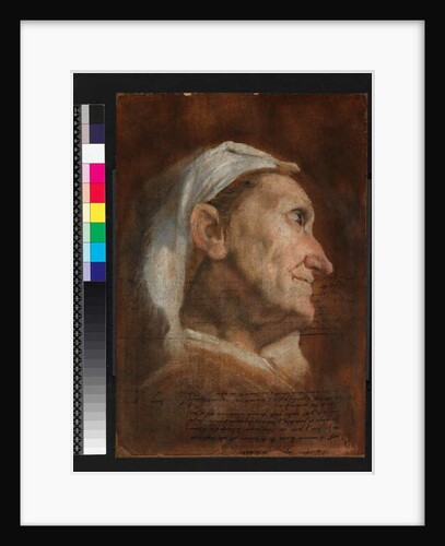 Head of an old woman, c.1590 by Annibale Carracci