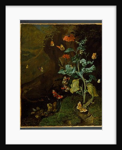 A still life with flowers, butterflies and a lizard in a dell, before 1750 by Rachel Ruysch
