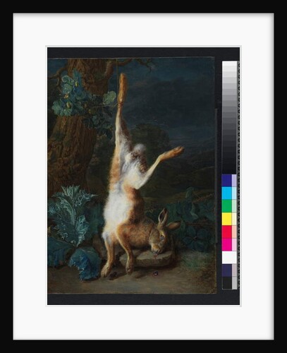 A dead hare, before 1782 by Pieter Snyers