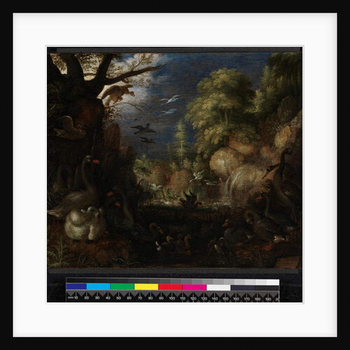The Creation of Birds, 1619 by Roelandt Jacobsz. Savery