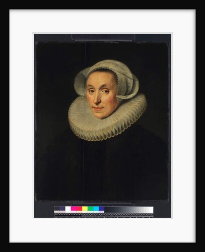 Portrait of a Lady, 1615 by Michiel Jansz. van Miereveld