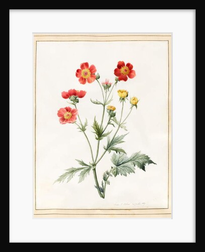 Composite, 1827 by Louise D'Orleans