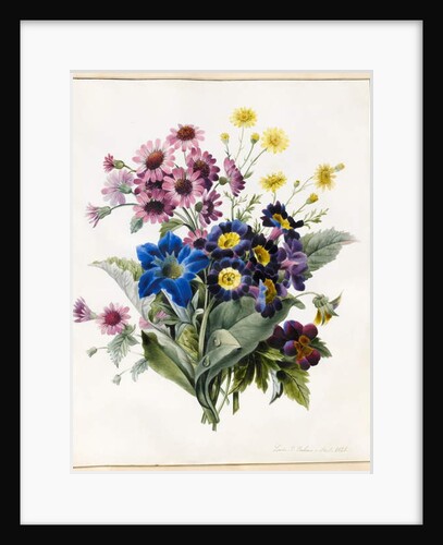 Mixed Flowers, Aster sp., Auricula, Ragwort, Viola, Campanula, Gentiana Acaulis, 1828 by Louise D'Orleans