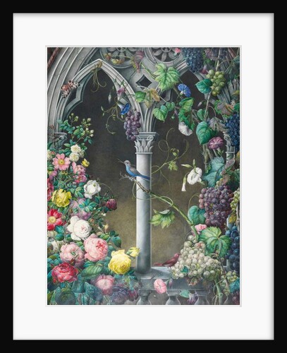 Bunches of Roses, Ipomoea and Grape-vines, Around an Arcade in a Fanciful Gothic Style, Two Birds, Species Unknown, and a Tiger Moth by Eugene Joseph Prevost