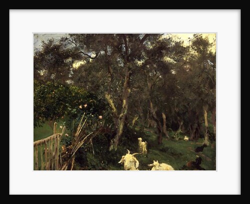 Olives in Corfu, 1909 by John Singer Sargent