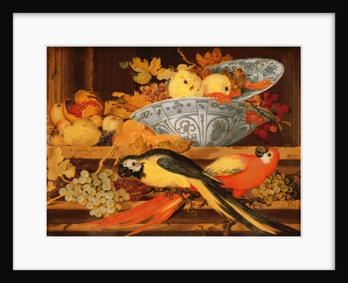 Still Life with Fruit and Macaws, 1622 by Balthasar van der Ast