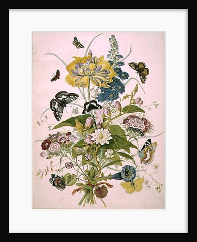 PD.912-1973 Still life of flowers including a parrot tulip, larkspur, sweet william, gentian and cyclamen, 1769 by Thomas Robins