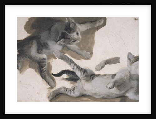 Sketches of a Kitten by Alexandre-Francois Desportes