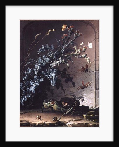 Stone Niche with Thistle, Lizard and Insects, 1690 by Elias van den Broeck