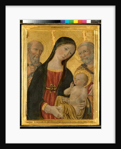 Virgin and Child between St. Jerome and St. Peter, c.1500 by Andrea di Niccolò di Giacomo