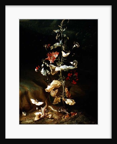 Still life with flowers by Otto Marseus van Schrieck