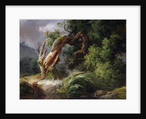 The Oak and the Reed, 1816 by Achille Etna Michallon