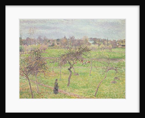Apple Trees in a Meadow at Eragny, 1894 by Camille Pissarro