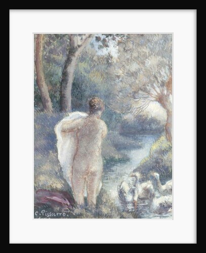 Nude with Swans, c.1895 by Camille Pissarro