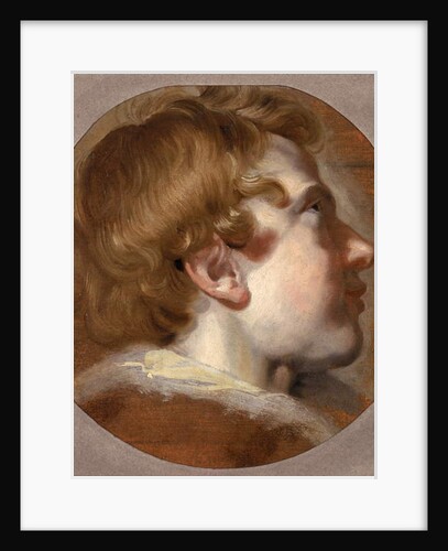 Head of a Young Boy, c.1620's by Pieter van Mol