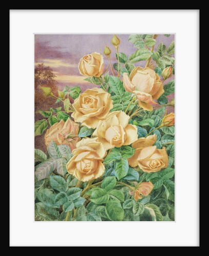 Yellow Roses by Thomas Frederick Collier