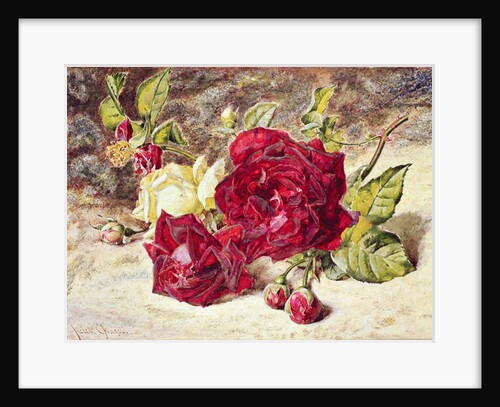 One White and Two Red Roses and Buds by Helen Cordelia Coleman Angell