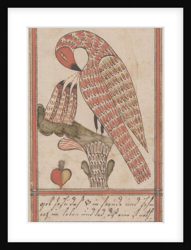 Pelican in it's Piety, c.1800 by American School