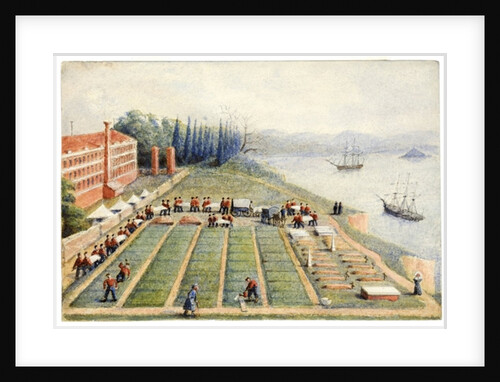 The burial ground at the General Hospital, Scutari, April 1855 by General E.W. Wray